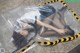 A woman laying on the ground covered in a plastic bag.